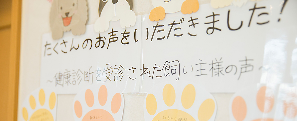 お客様の声｜栃木県佐野市の動物病院「させ犬猫の病院」