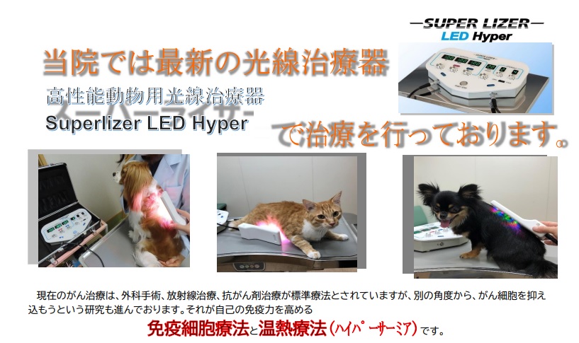 光線治療器のご紹介です - 栃木県佐野市の動物病院ならさせ犬猫の病院
